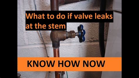 temporary fix for leaking valve stem|Leaky Valve Stem (Fix)